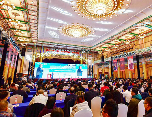 2018中國經濟高峰論壇暨第十六屆中國經濟人物年會在京舉行，泰祺教育榮獲“新時代中國經濟創(chuàng)新企業(yè)”榮譽稱號
